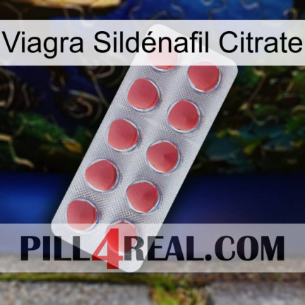 Viagra Sildénafil Citrate 18